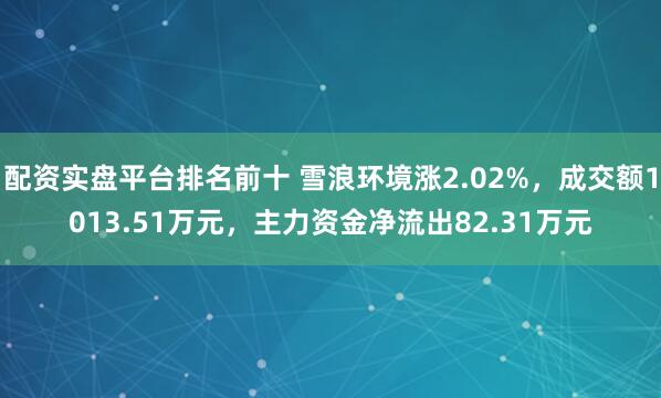 配资实盘平台排名前十 雪浪环境涨2.02%，成交额1013.51万元，主力资金净流出82.31万元