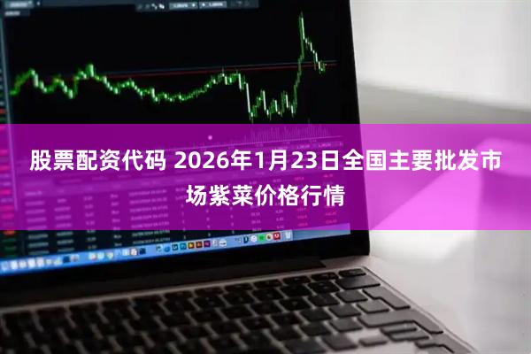 股票配资代码 2026年1月23日全国主要批发市场紫菜价格行情