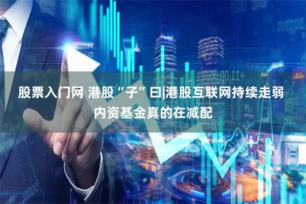 股票入门网 港股“子”曰|港股互联网持续走弱 内资基金真的在减配
